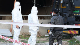 럼피스킨 전북 임실 등 2곳서 추가 확진…누적 103곳