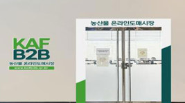 ‘농산물 온라인도매시장’ 출범…농산물 도매 유통 비용 절감 기대