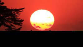 성남시, 금토산 판교공원 정상 마당바위서 해맞이 행사