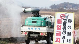 광주 기러기 농장서 고병원성 AI 확진…광주 첫 사례