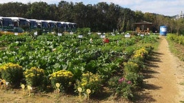 용인시, 올해 시민농장 텃밭 운영할 시민 농부 794팀 모집
