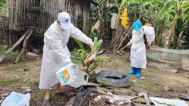캄보디아에서 형제 조류 인플루엔자 감염…9세 동생은 숨져