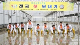 이천시, 전국 첫 모내기…이천쌀 품질 및 올해 농사 풍작 기원