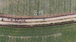 제주올레는 ‘산티아고 순례길’이 될 수 있을까 [창+]