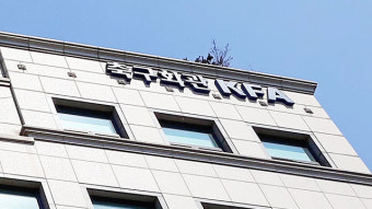 대한축구협회, 오늘 전력강화위원장 선임예정…감독 선임 절차 시작