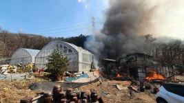 군포 블루베리 농장 화재 인근 야산으로 번져…1명 부상