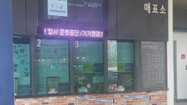 여수해상케이블카 30분 동안 운행 중단