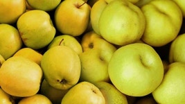 노란 사과를 드릴까요? 초록 배를 드릴까요? [사과]①