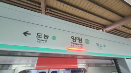 경의·중앙선 양정역서 한때 열차 멈춰…“전기 공급선과 나무 접촉”