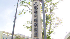 애견카페 ‘피터펫카페’ 가맹본부에 공정위 제재