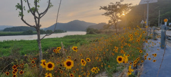 ‘전남 유기농 생태마을’에 함평군 신기마을 선정