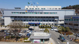 인천 강화군의회 의장, 70대 운전 승용차에 치여 부상