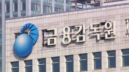 금감원, 네이버페이·토스도 개인신용정보 해외 유출 여부 점검