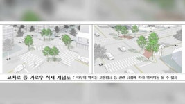 서울시, 교차로 등에 가로수 2천 그루 심어 차량 돌진 막기로