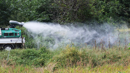 경북 문경 한우농장서도 럼피스킨 발생…올해 14건으로 늘어