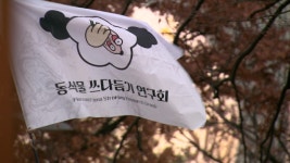 아이돌 응원봉 + 선결제 = “탄핵하라”