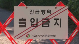 양주에서 아프리카돼지열병 발생…경기도, 양돈농가 긴급 방역