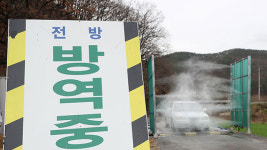 경기도 화성 토종닭 농장서 고병원성 조류인플루엔자 발생