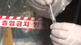 군산 나포 토종닭 농장 고병원성 AI 확진 판정…전국 34번째