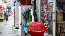 개식용종식법 반년 만에 사육농장 10곳 중 4곳 폐업