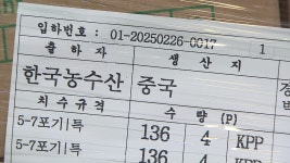 중국산 무·배추가 가락시장 경매에…“국산 가격 잡는다고?” [취재후]