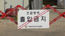 전남 영암 구제역 농가 세 곳 추가 확인…네 곳으로 늘어