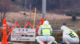 [무등의 아침] ‘청정지역’ 전남 뚫은 구제역 확산 일로…이번 주 최대 ‘고비’