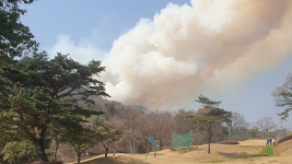 경남 김해시 한림면 산불…산림청 산불 1단계 발령