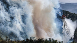 [속보] 의성 산불 안동으로 확산…안동시, 길안면 등 대피명령