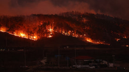 대형산불 확산에 경북북부교정시설 2,700여명·안동교도소 800여명 이감 절차