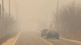 [속보] 안동시 임동면 갈전리 산불 확산, 갈전1·2리 주민 용상초등학교로 대피령