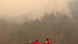 [속보] 안동시 “임동면 갈전리 산불 확산 중…갈전1·2리 주민 대피령”