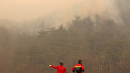 [속보] 안동시 “남선면 원림리 산불이 남후면 무릉리 방면으로 확산…주민 대피해야”