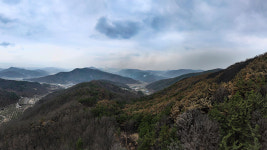 [속보] 경북 북부 산불 평균 진화율 85%(오늘 오전 기준)