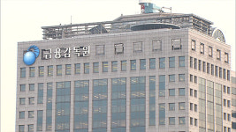 금감원 “상법 개정안 거부권 안 돼”…법무부에 의견 개진