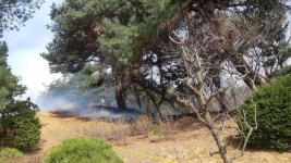 파주 광탄면 신산리 산불…화목보일러 불티 번진 거로 추정