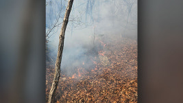 청주 문의면 야산 화재…1.5ha 피해