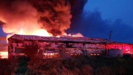 고구마 선별장에서 불…건물 3동 모두 타
