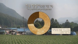 [더 보다] 식품 사막에 삽니다