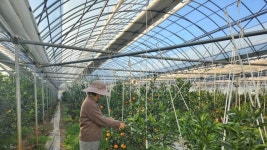 [생생뉴스] 기후 변화로 ‘밥상 지형도’ 바뀐다