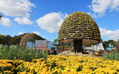‘대한민국 국향대전’ 개막…“‘테마파크형’ 축제”