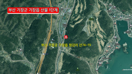 부산 기장군 기장읍 산불…산림청 산불 1단계 발령