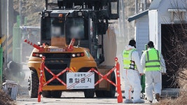 “AI 발생 농장 다수 방역 미흡…보상금 감액 조치”