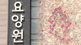 “요양원에 페인트·고추장 뿌려…‘보복대행’ 20대 검거