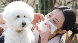 경기도, ‘공공동물병원’ 설립 추진…타당성 조사