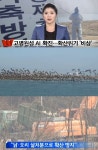 전북 고창서 고병원성 AI 발생! 2년 8개월만에…당국 비상