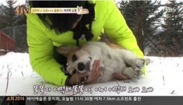 강원래 동물농장서 반려견 똘똘이 죽음에 오열