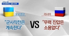 우크라 휴전 조치 합의, 목표는 휴전·오는 5일 대화 재개