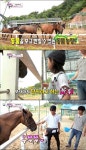 ‘슈퍼맨’ 하루, 타블로와 동물농장 찾아가…당나귀 시승