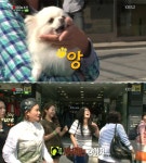 ‘인간의 조건’ 김영희, 강아지 외면 받아…다가가자 ‘멍멍’